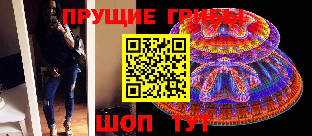 Галлюциногенные грибы Psilocybe  Псилоцибиновые грибы мухоморы  продажа наркотиков  Вход с VPN  Выборг 