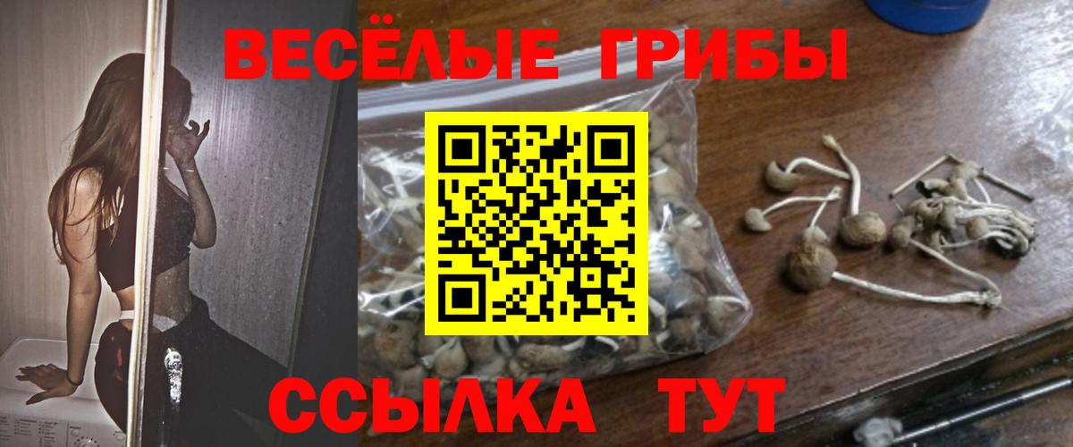 Псилоцибиновые грибы MAGIC MUSHROOMS Выборг
